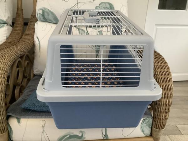 Image 1 of Cat carrier pale blue for sale