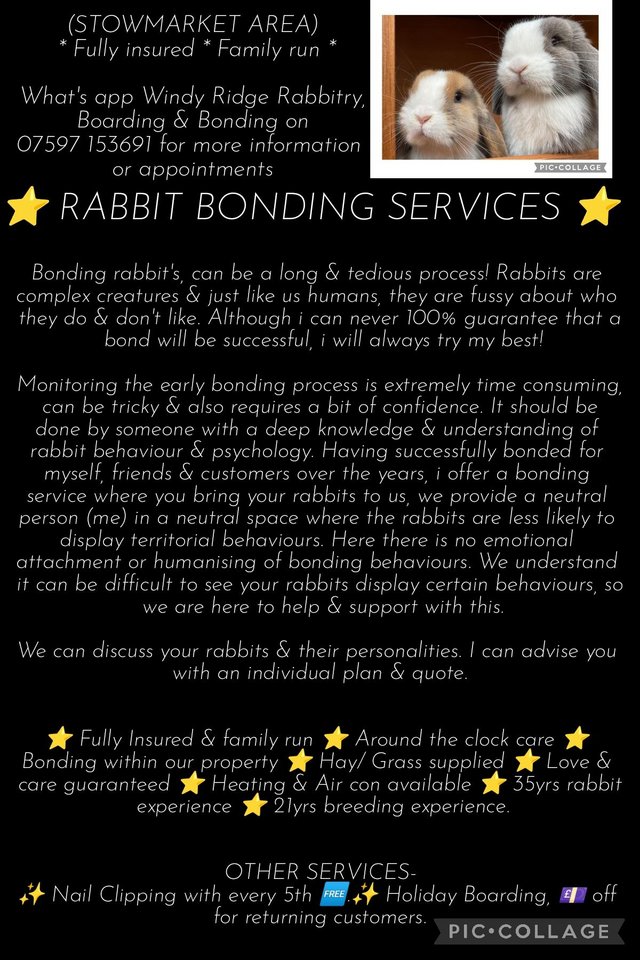 Preview of the first image of Rabbit Bonding -Stowmarket Suffolk.