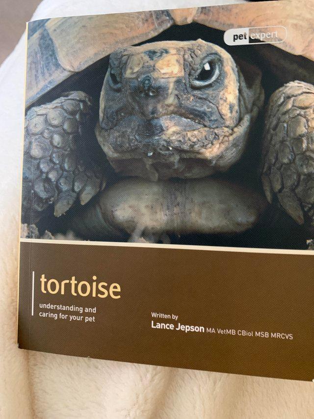 Preview of the first image of Tortoise Pet Expert book - new.