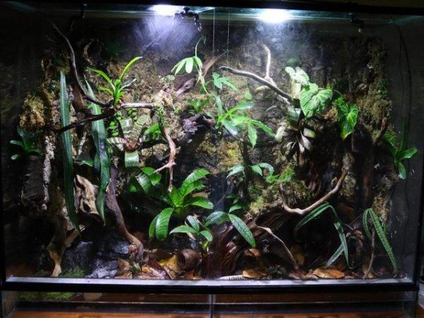Image 2 of 4ft Glass Reptile/Amphibian Vivarium *TANK ONLY*