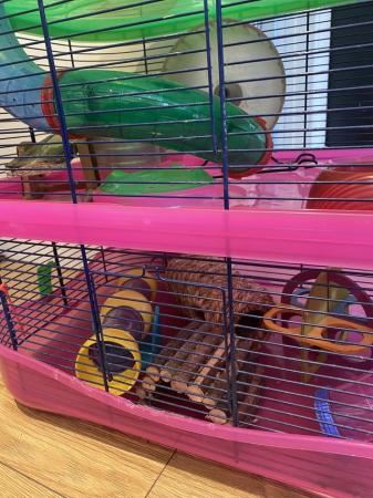 Image 3 of Deluxe three storey hamster cage