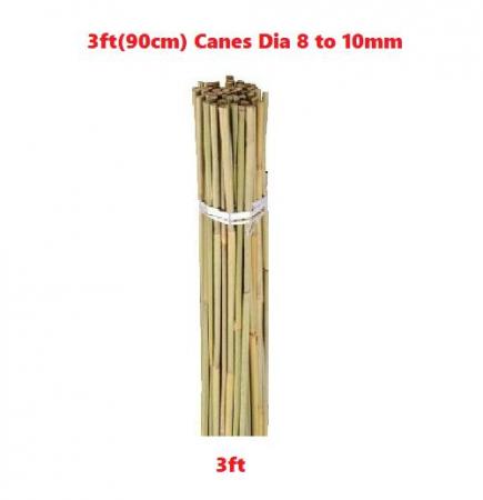 Image 2 of 9 BRAND NEW Bamboo canes Cheap