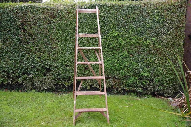 Image 2 of Wooden Step Ladder 6 steps