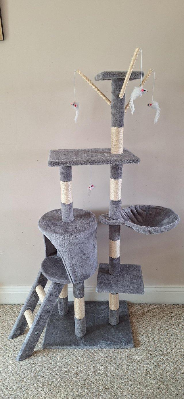 Preview of the first image of Brand new cat tree, 145cm cat scratch posts, multi level.
