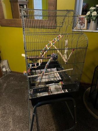 Image 1 of Hi large bird cage for sale thanks
