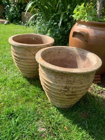 Image 2 of Pair of terracotta plant  pots