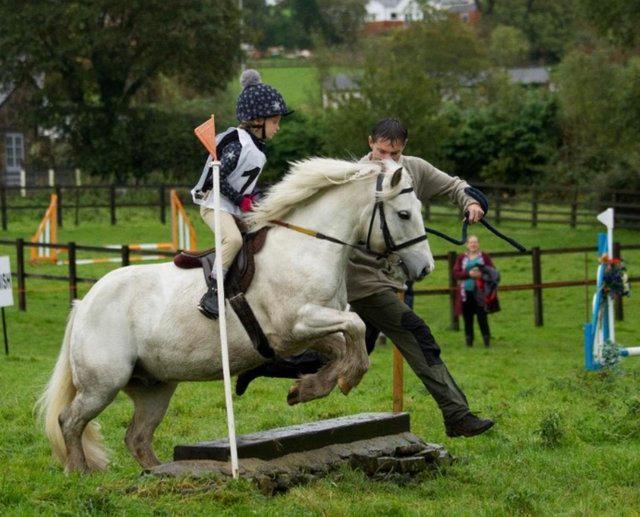 Proven Working Hunter Lead Rein Pony For Sale in Bury, Greater