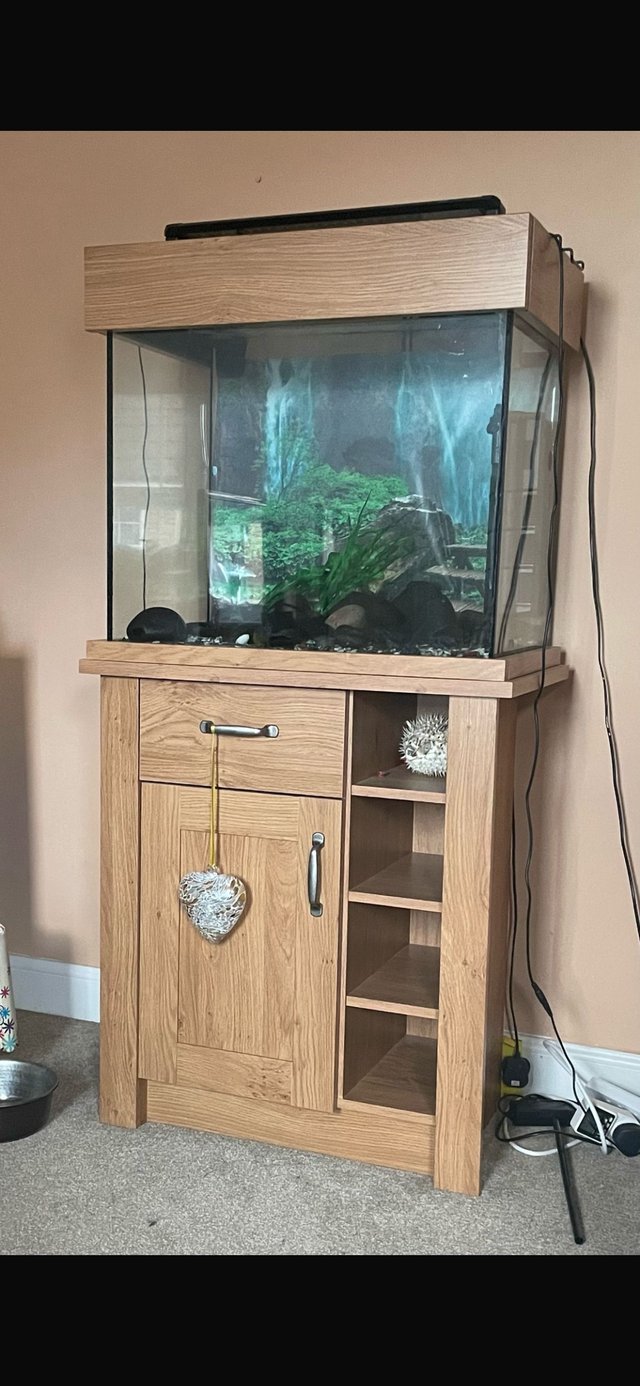 Preview of the first image of Aquaone 110Laquarium with oakstyle cabinet.