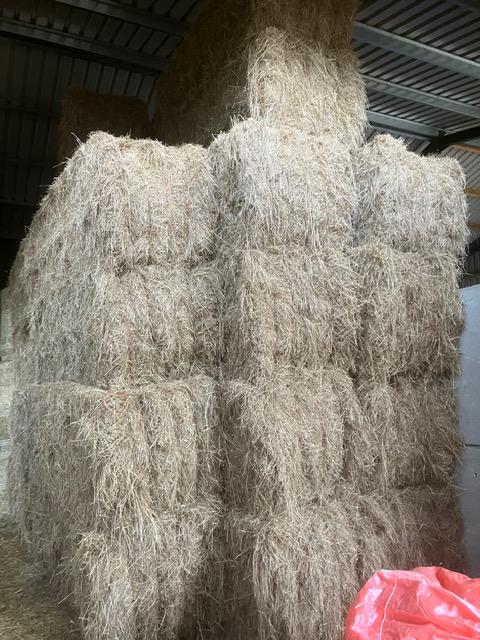 Preview of the first image of Quantity of 4 String 2023 Hay bales.