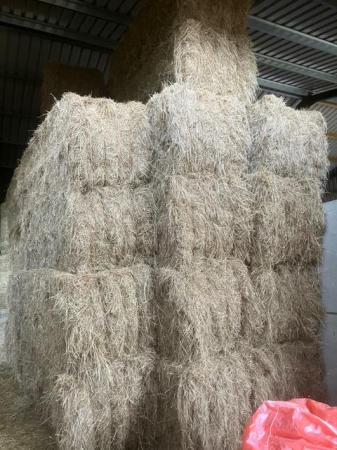 Image 1 of Quantity of 4 String 2023 Hay bales