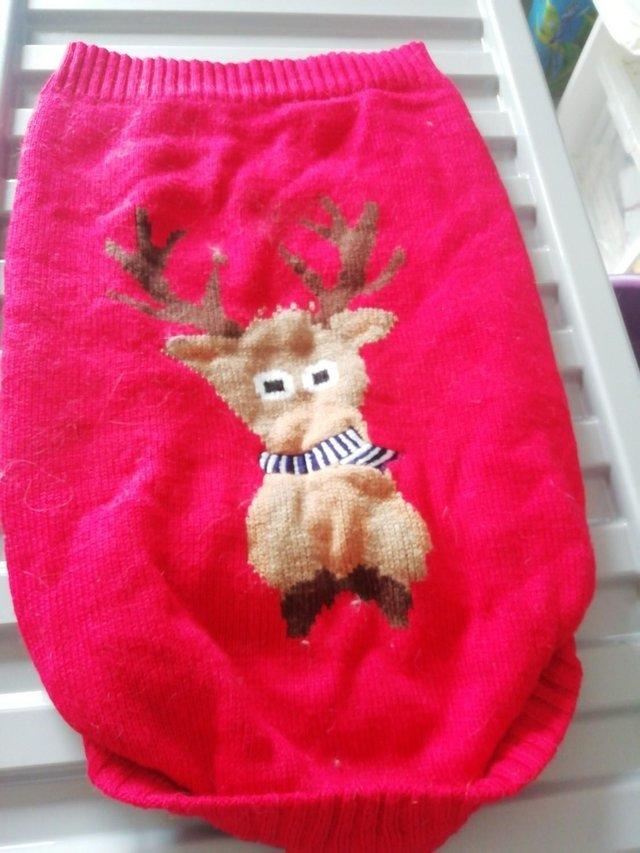 Preview of the first image of Medium Dog Jumper Christmas Jumper.