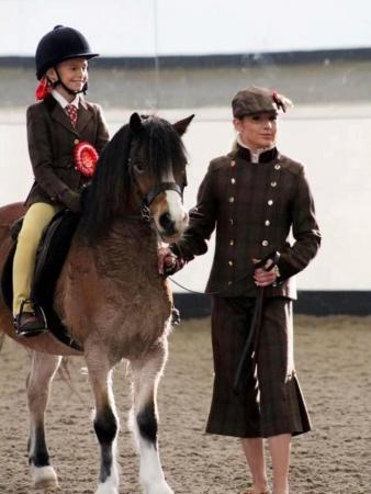 Image 1 of Magnum - 7 year old Welsh Sec A 11.2hh
