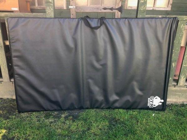 Image 5 of Gym mat with handles foam interior.