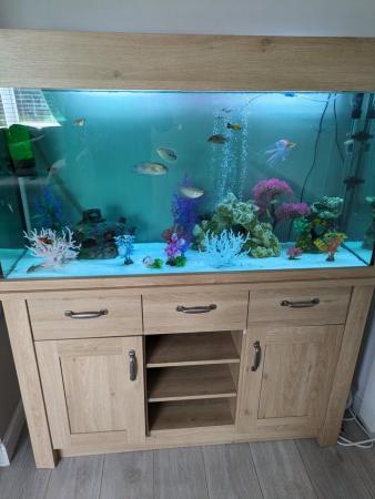 Image 3 of 5ft x 2ft Aquarium with Cabinet