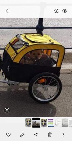 Image 3 of Pet bicycle trailer (folding)