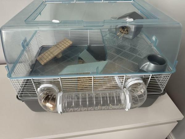Image 2 of Dwarf female hamster pair & cage