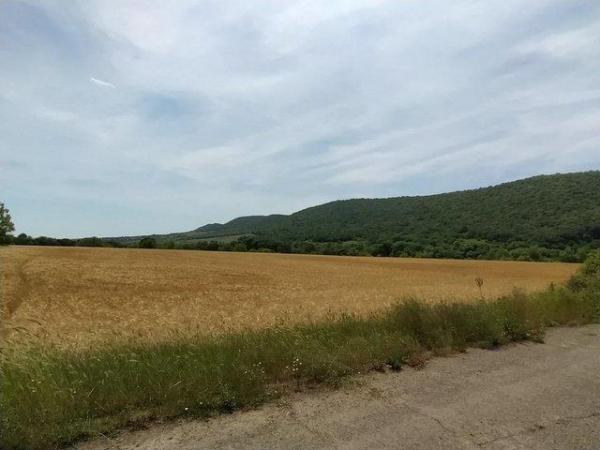 Image 1 of INVESTMENT 9500sqm PLOT BY OWNER NEAR S. BEACH BULGARIA