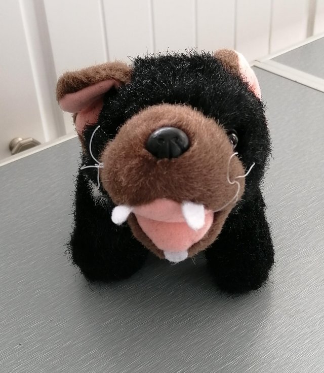 Preview of the first image of A Small "Tasmanian Devil" Soft Toy by Windmill Toys, Austral.