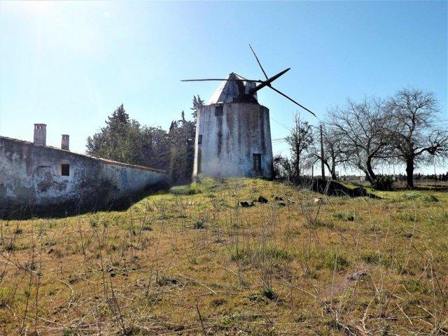 Preview of the first image of House and windmill renovation property for sale in Portugal.