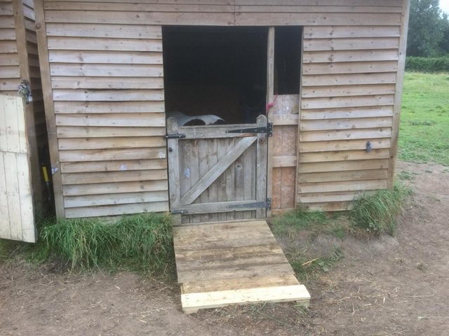 Preview of the first image of FREE 8 x 10 Field Shelter for sale for pony or small horse.