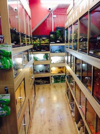 Image 9 of Warrington pets and exotics a fully stocked pet shop/store