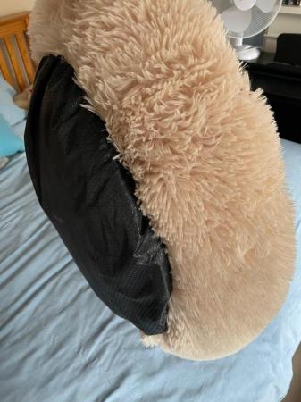 Image 3 of Small/medium dog bed for sale.