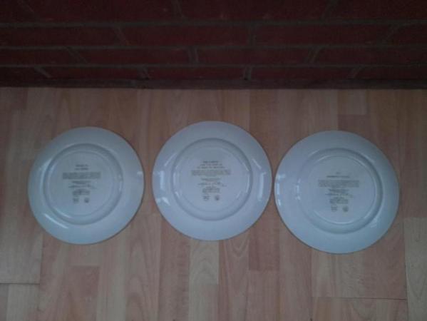Image 2 of X3 Wedgwood plates. Piranesi plates with pictures from Italy