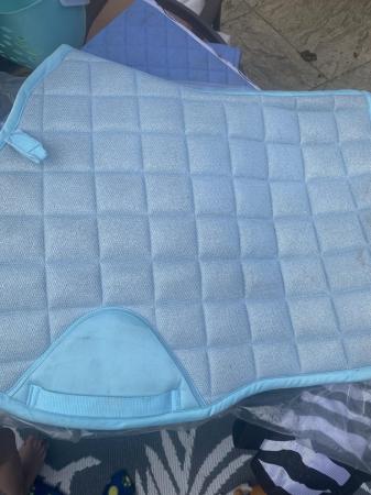 Image 1 of blue saddle pad beautiful colour
