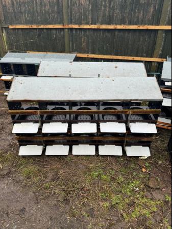 Image 3 of Chicken Nest Box 10 Bays roll out -Solway