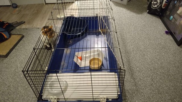 Preview of the first image of Large cage for rabbits/Guinea pigs/hamster.
