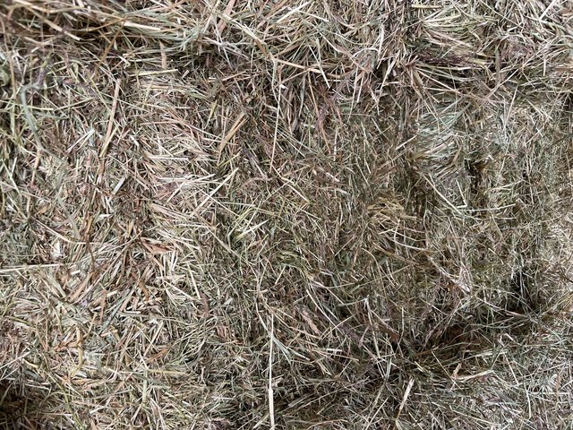 Preview of the first image of Small bale hay for sale £3.50 each.