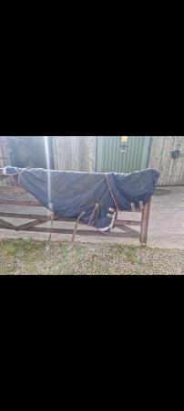 Image 1 of Premier equine and other rugs for sale