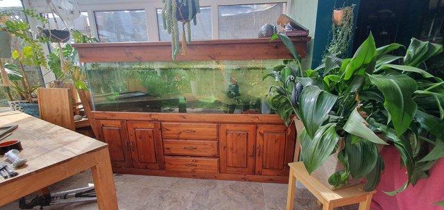 Image 2 of Large fish tank with all accessories
