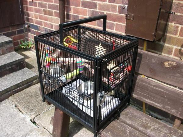 Image 5 of Travelling Sturdy Bird Cage