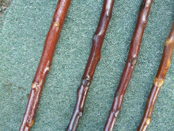 Image 10 of Show canes Handmade in various woods