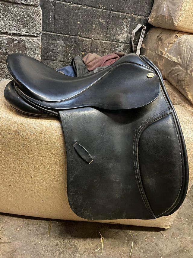 Preview of the first image of Job lot of saddles inc Harry dabbs fylde thorowgood etc.