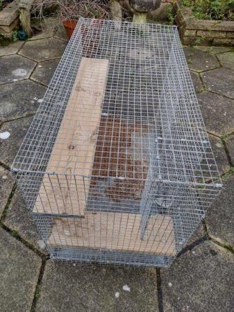 Image 2 of Large galvanized metal Chinchilla cage
