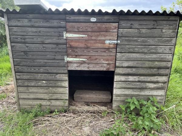 Image 3 of Livestock hut for shade and shelter