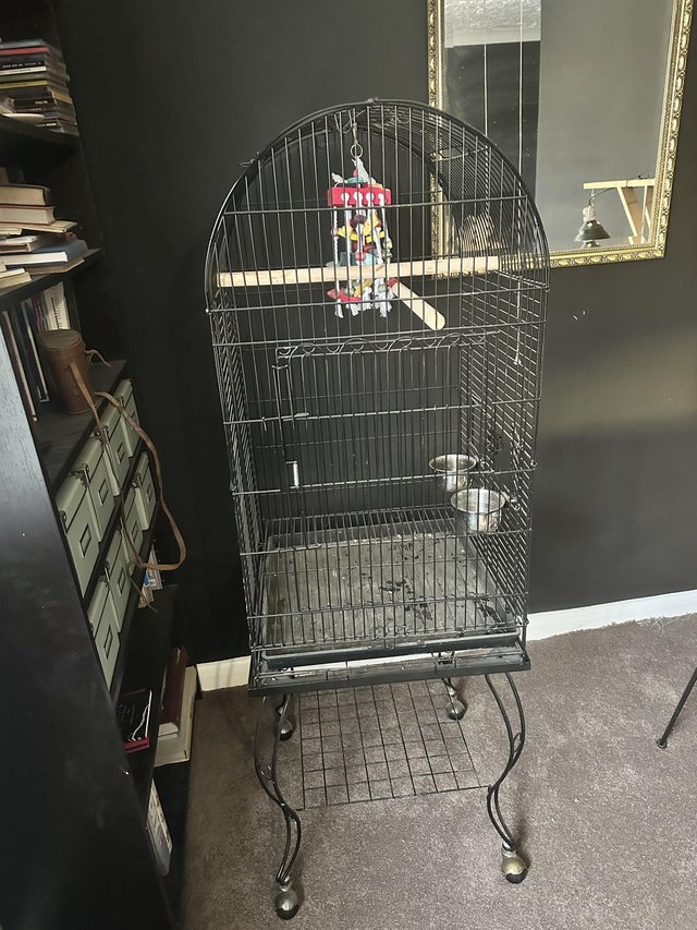 Preview of the first image of Elegant black small birdcage.