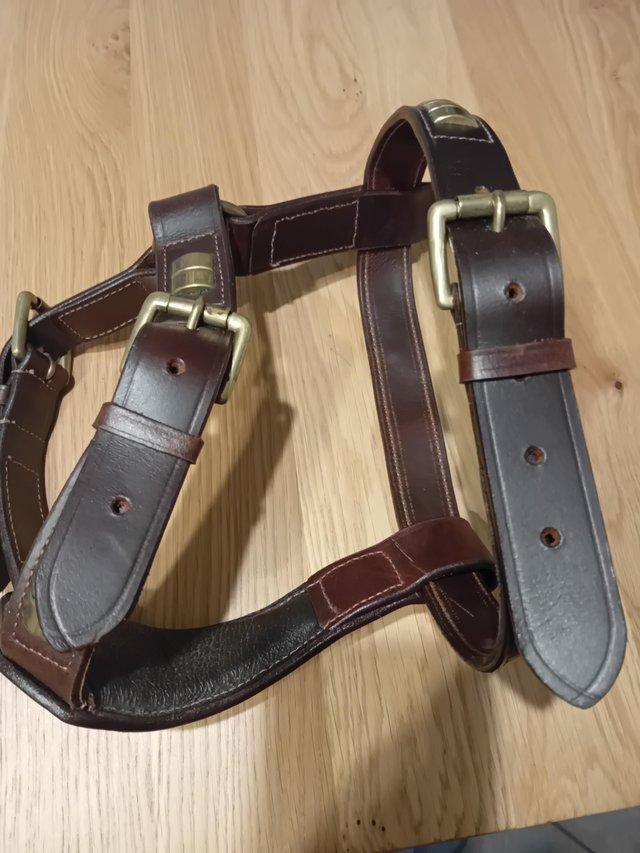 Preview of the first image of Staffordshire Bull Leather Harness.