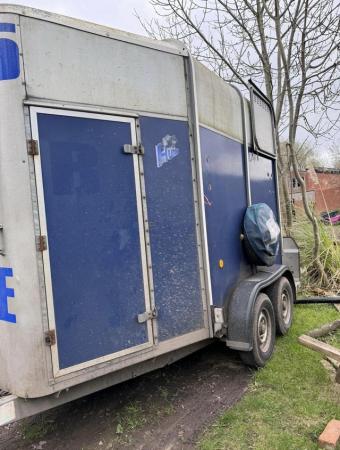 Image 2 of Blue ifor Williams 505 horse trailer