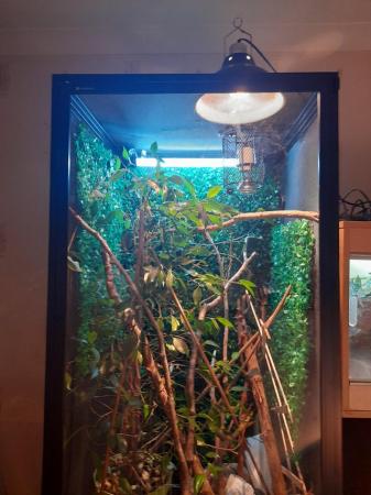 Image 3 of Brand new Aboreal vivarium for sale