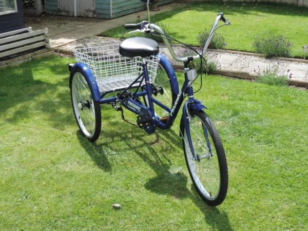 Image 1 of French " Onion Johnny " Adult 3 Wheel Bike + Basket