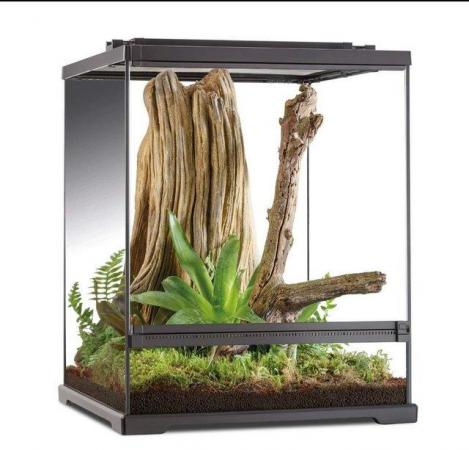 Image 4 of Brand New Terrariums at Nearly Half Price
