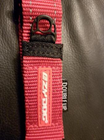 Image 1 of BRAND NEW Ezy Dog collar, red size large