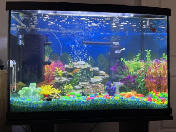 Image 5 of 60L fish tank for sale in bridlington