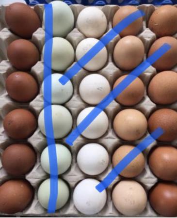 Image 3 of Hatching eggs large fowl Maran