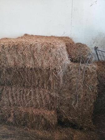 Image 3 of Quality Meadow Hay Bales  VERY HEAVY BALES good 4 laminitics
