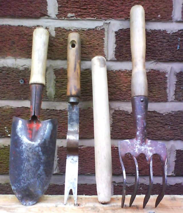 Preview of the first image of vintage  granddads hand garden tools.Rake fork-rare find.Tro.