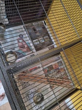 Image 3 of Brand new cage for small birds